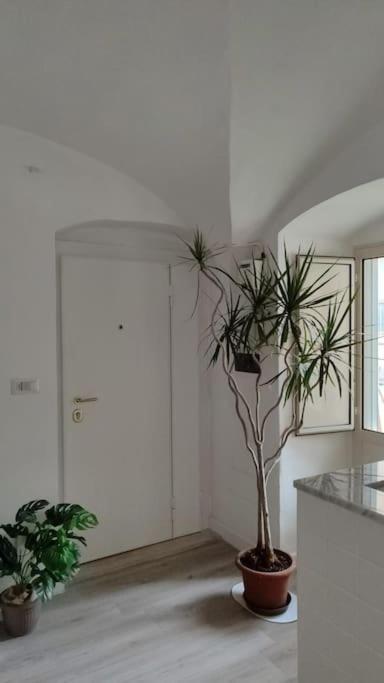 Apartament Mini In Centro *