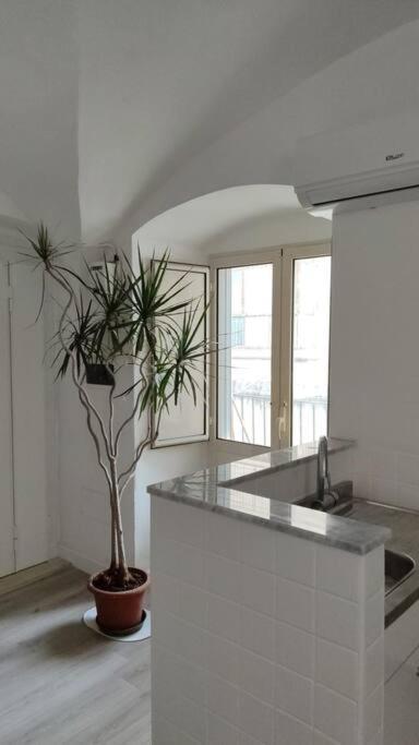 Apartament Mini In Centro *
